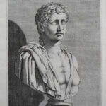 A male classical bust, F