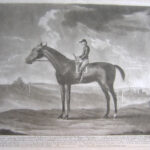 “BAY MALTON” This most excellent Horse was never beat, being so eminent for his Running, is the property of the Right Hon.ble the Marquis of Rockingham, was not only remarkable for his GreatSpeed but