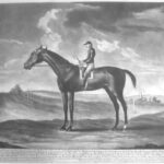 “BAY MALTON” This most excellent Horse was never beat, being so eminent for his Running, is the property of the Right Hon.ble the Marquis of Rockingham, was not only remarkable for his GreatSpeed but