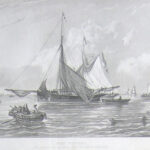 The Petrel. The property of the right hon the Earl of Ilchester.