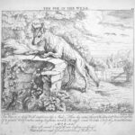 A Collection of Barlow’s Fables - The Fox in the Well