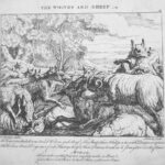 A Collection of Barlow’s Fables - The Wolves & Sheep