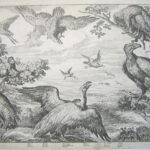 (A group of birds of prey, with a monkey)