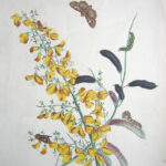 The English Moths and Butterflies Together with the plants, flowers, and fruits whereon they feed and are usually found. VII The Broom Moth. The Broom