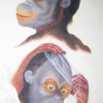 (Monkeys Heads)