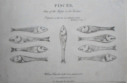 William Hogarth - Pisces