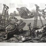 Giovanni Battista Piranesi Prints - Vasi, Candelabri, Cippi, Sarcofagi, Tripodi, Lucerne, Ed Ornamenti Antichi Disegn. Wilton Ely 896
