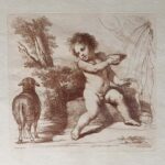 Child and sheep