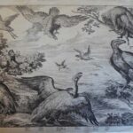 (A group of birds of prey, with a monkey)