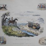 The Horses, going to the Dogs
