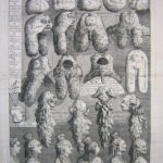 Five Orders of Periwigs.