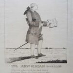 The Abyssinian traveller