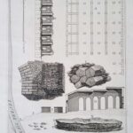 XXXXVIIII. Fig. I. Pianta del Tempio della Fortuna Virile, fabbricato da  Servio Tullio Re de’ Romani…. 