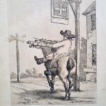 A Horse with a Nose