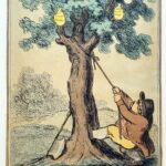 The Tree of Corruption ,-with John Bull hard at work.