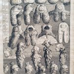 Five Orders of Periwigs.